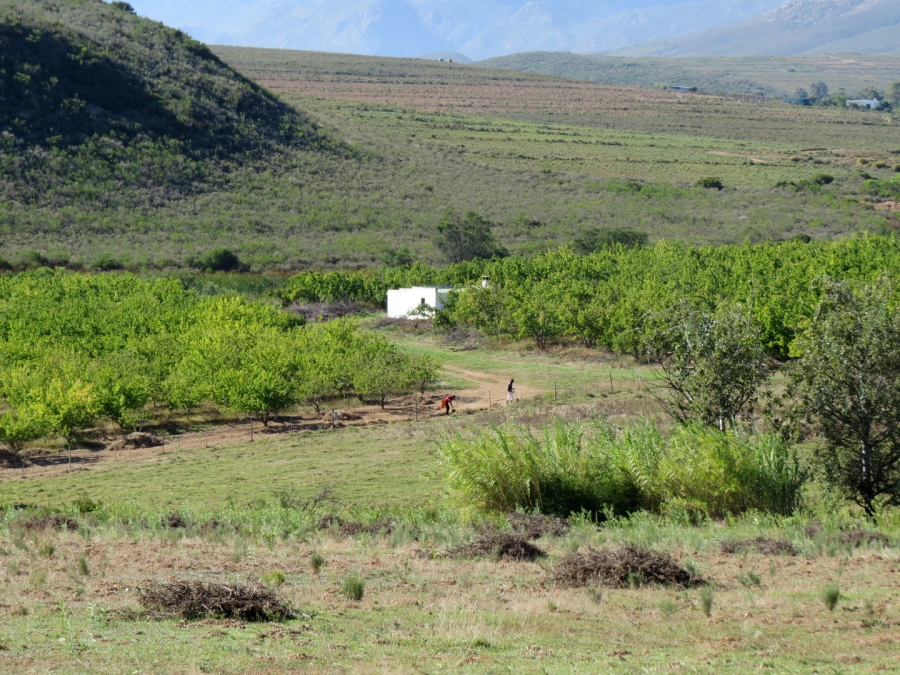 3 Bedroom Property for Sale in Montagu Rural Western Cape
